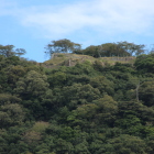 山上の丸石垣群樹木伐採されて良く観える