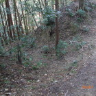 同左土橋の西側の竪堀