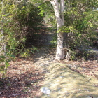 本丸西側土塁上Ⅱ