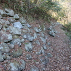 本丸東城塁石垣を南から見る