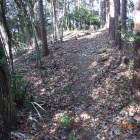 北の曲輪内部尾根の細い曲輪先端が見張台