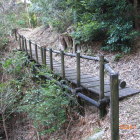 同左より東に落ちる竪堀、架橋登城路