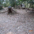 本曲輪南側内部