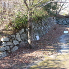 同左をやや南より