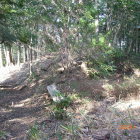 神社裏北側の土塁を西より見る