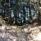 堀切Ⅱ同左より社を超えて東側