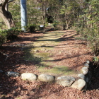 本丸東城塁上部中間点から木橋まで