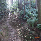 同左より上に堀底道