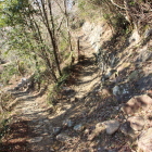 本丸西側鉢巻石垣Ⅶ西の丸Ⅱへの坂道辺り