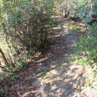 本丸西側土塁上Ⅰ南側