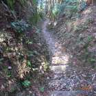 堀底登城路北の曲輪下より見下ろす