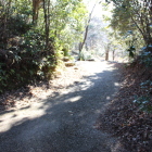 本丸と西の丸Ⅰ間の堀切