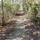 本丸西側土塁上Ⅲ庭園の西