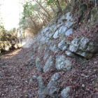 本丸東城塁石垣を北より見る
