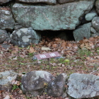 大手門西側に在る暗渠