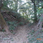 本曲輪の横堀と切岸