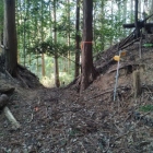 郭Ⅰ南の尾根の堀切