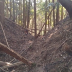 郭Ⅲと郭Ⅳの間の尾根の堀切