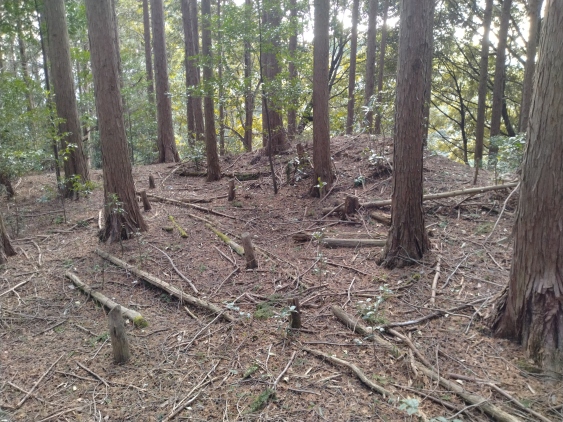 主郭南の枡形虎口