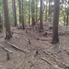 主郭南の枡形虎口