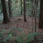 北西側の段曲輪群