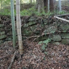 主郭切岸の石垣