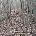 本丸先には3条の竪堀