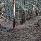 主郭部分から落ちる竪堀