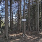 主郭がある辛垣山頂