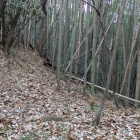 南に伸びる尾根道