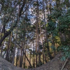 外側の堀切を逆方向から