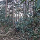 内側の堀切を逆方向から