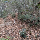 この上に削平地