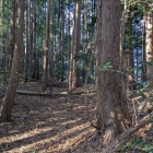 主郭下の削平地