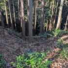 枡形山城西側の堀切