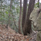 ２郭北側の堀切