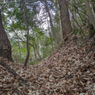 主郭東側の堀切