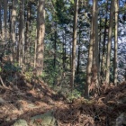 辛垣城の堀切、ここから主郭へ