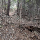 ほぼ直登の登城路