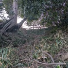 入口すぐの竪堀