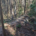 細い尾根道、石積で補強されているが