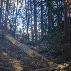 二重堀切の内側の１条