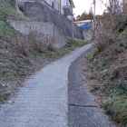平井館の堀切跡、下から