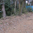 逆方向から本丸の土塁