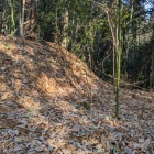 東の出丸の土塁