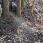 主郭背後の堀切