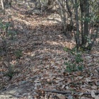 最初に迎えてくれる二重堀切の一条