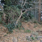 喰違い虎口になっている