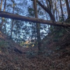 二重堀切の外側の１条