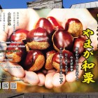 ⑩	山鹿市は西日本一の栗の生産地です